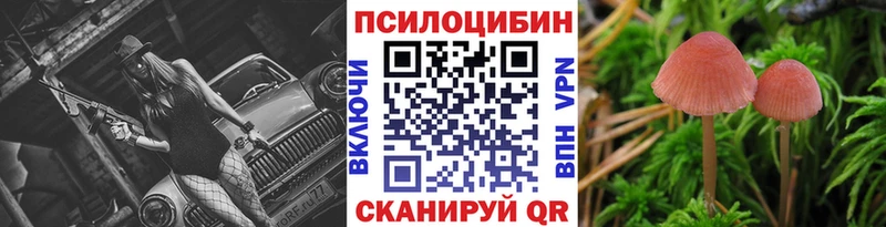 Псилоцибиновые грибы Cubensis  как найти закладки  Тбилисская 